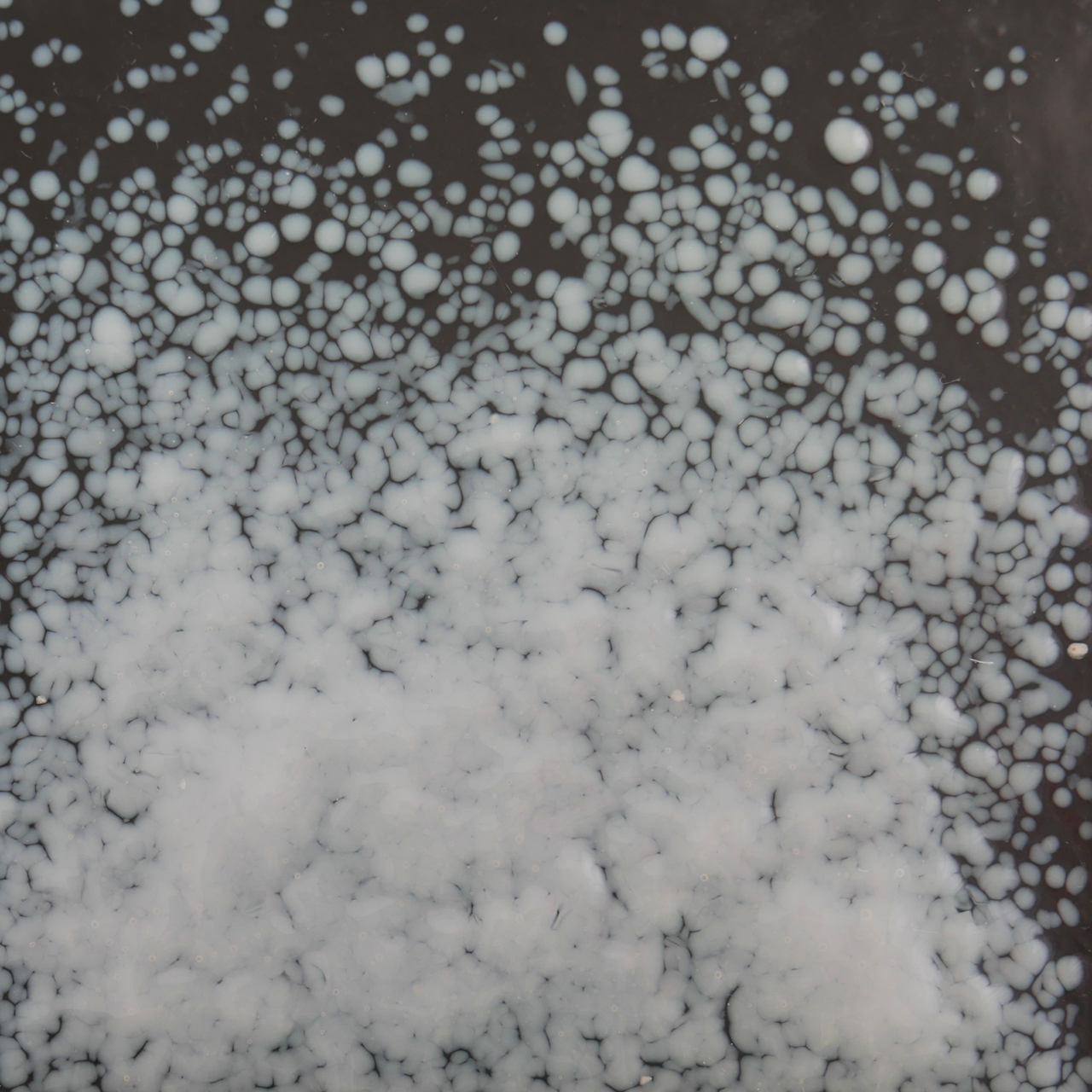 OPTUL FLOAT Frittes 3100 SP 250g K-3 OPTUL FLOAT Frittes 3100 SP 250g K-3