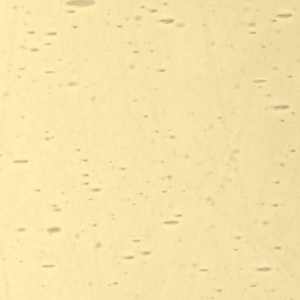 LAMBERTS 43xx LAMBERTS 43xx