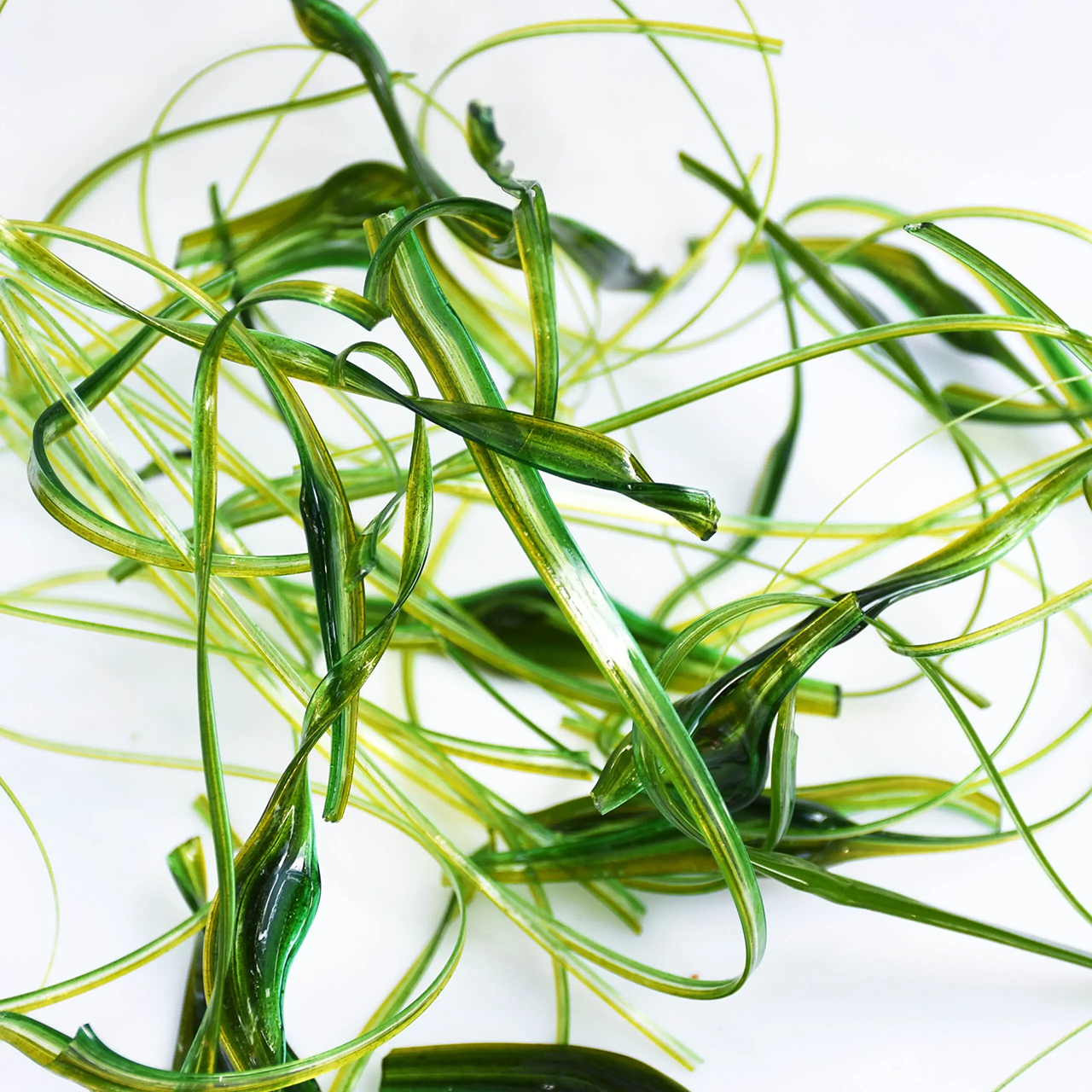 TGE Murrini AK90 Fäden transparent Blumengrün TGE Murrini AK90 Fäden transparent Blumengrün