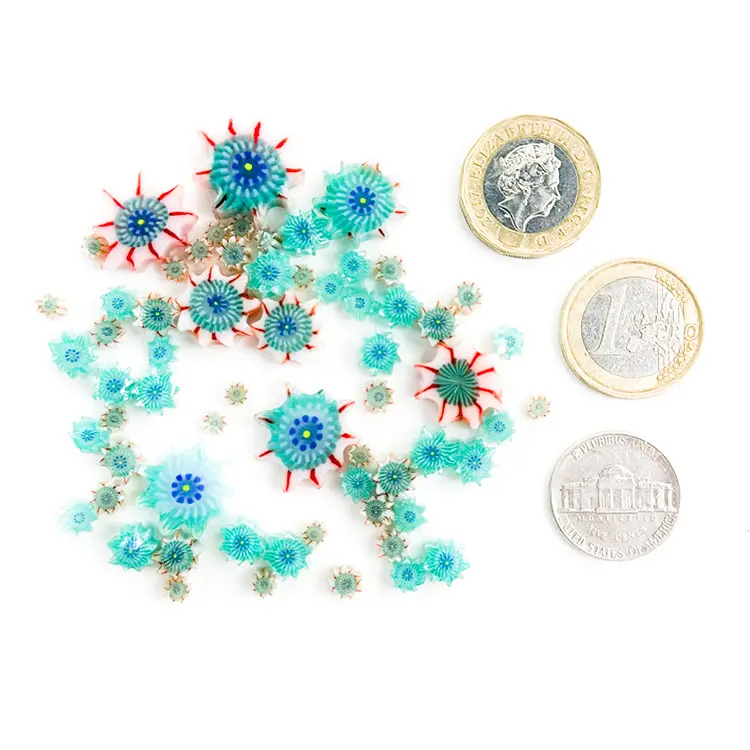 TGE Murrine COE90 Mixed Sizes - Anemone Sea Urchin TGE Murrine COE90 Mixed Sizes - Anemone Sea Urchin