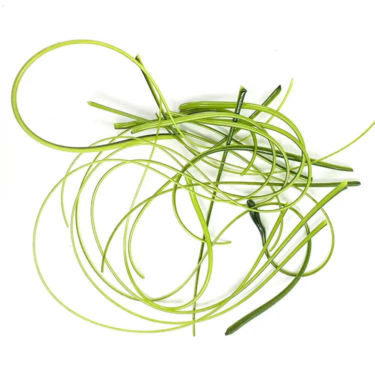 TGE Stringers COE90 - Vert TGE Stringers COE90 - Vert