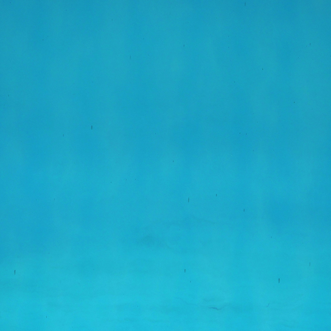 OCEANSIDE Spectrum 533-1W-F OCEANSIDE Spectrum 533-1W-F