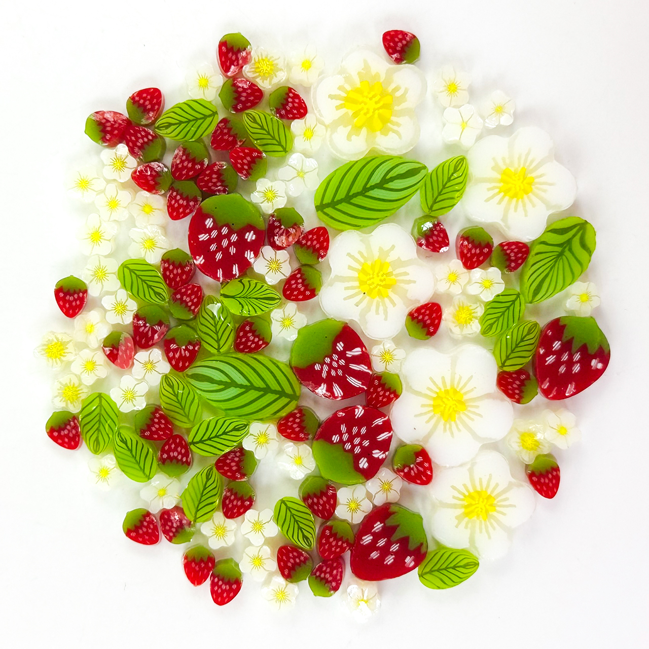 TGE Murrini AK90 Erdbeerpflanzen gemischt TGE Murrini AK90 Erdbeerpflanzen gemischt