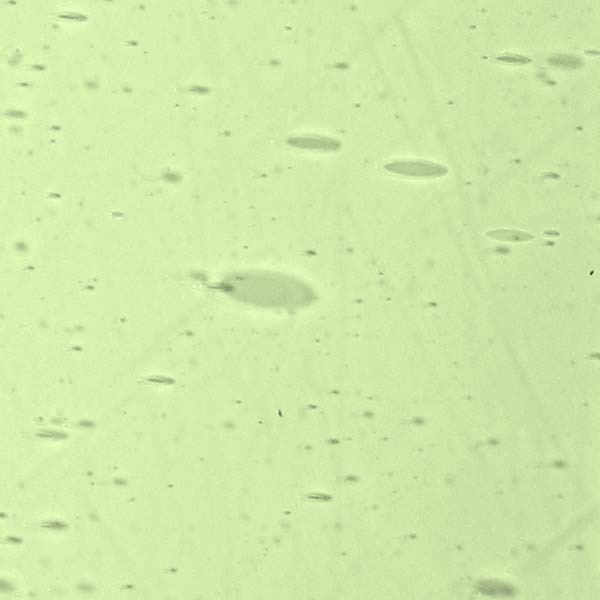 LAMBERTS 3614xx LAMBERTS 3614xx