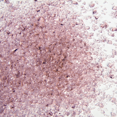 Oceanside Krösel F3-1408-F-4 mittel 1820g Oceanside Krösel F3-1408-F-4 mittel 1820g