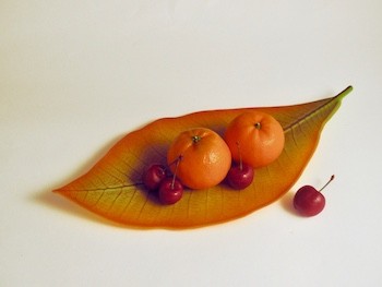 Castingform "Nebelwald Magnolie" Castingform "Nebelwald Magnolie"