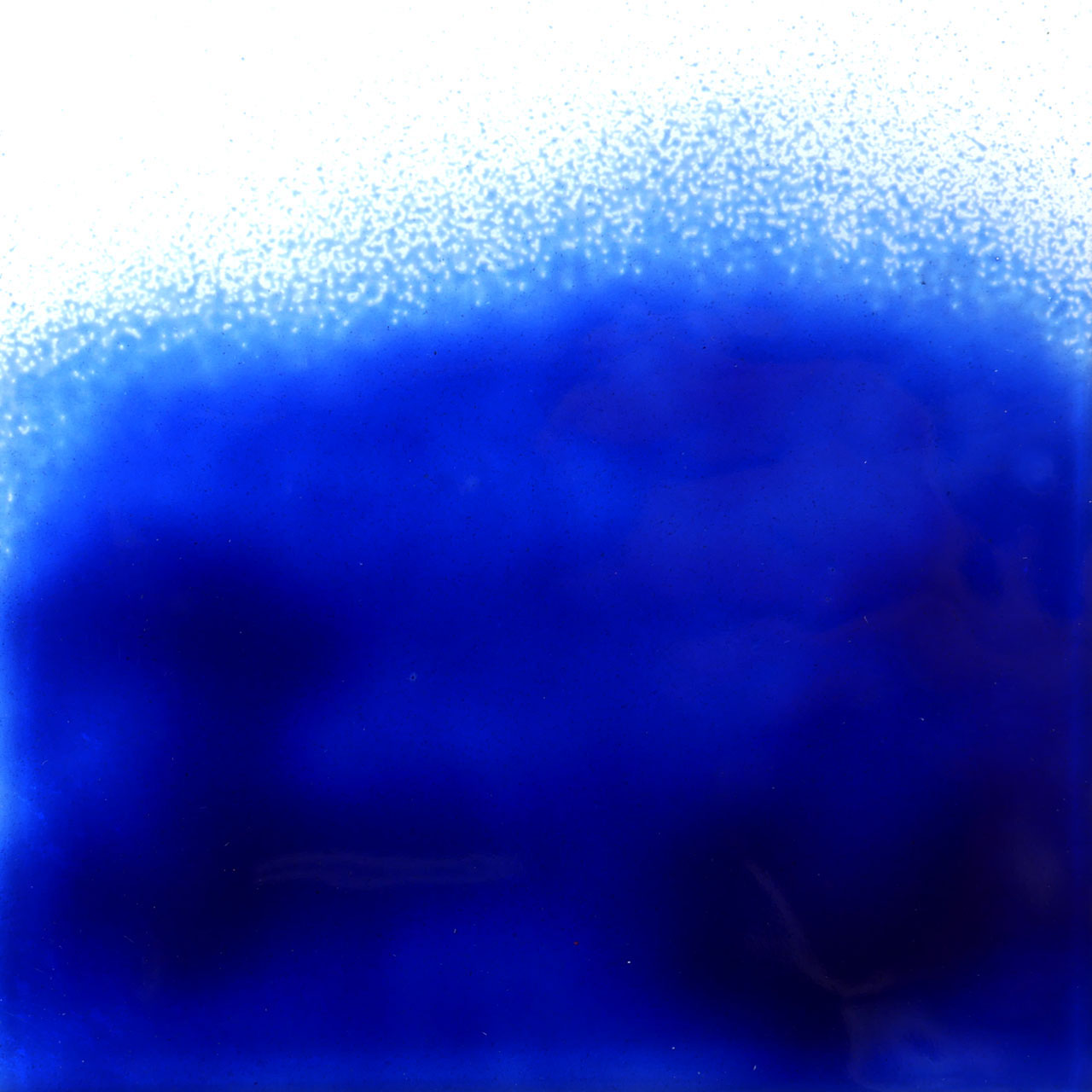 THOMPSON Esmalte 6650 para Float 227g THOMPSON Esmalte 6650 para Float 227g