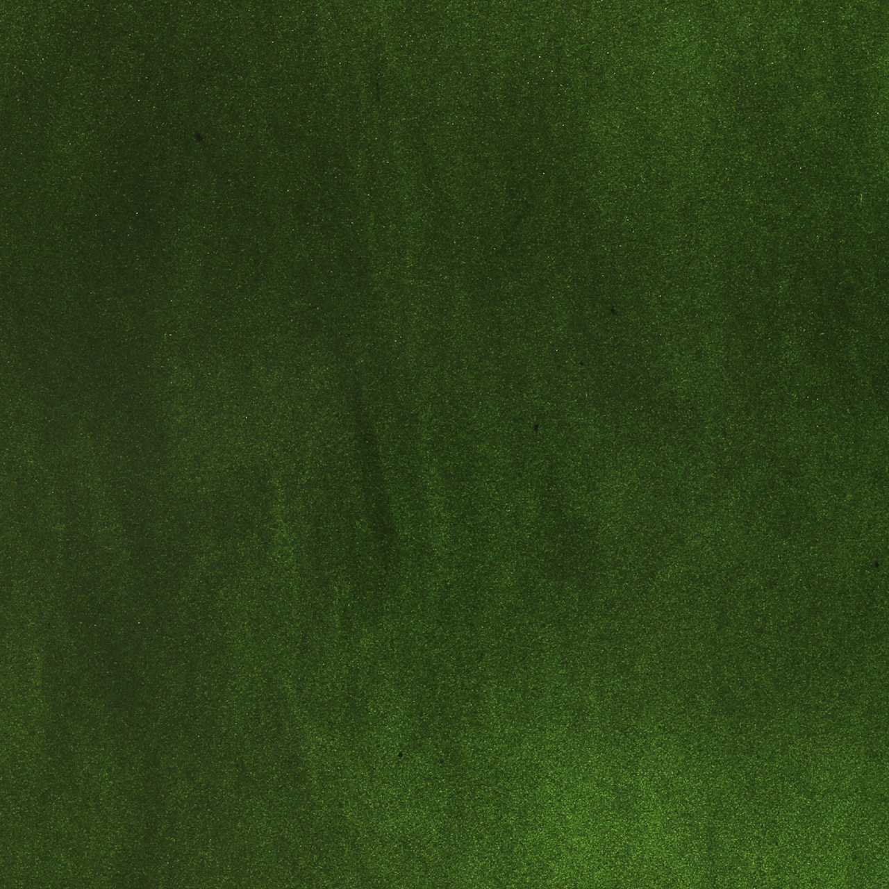 BULLSEYE 1412-50F BULLSEYE 1412-50F