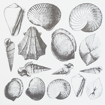 Fusing Decal Seashell silver Fusing Decal Seashell silver