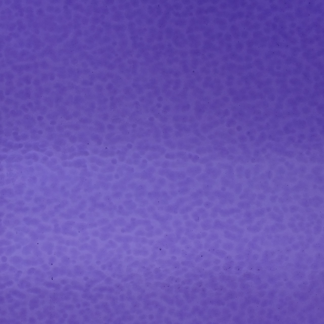 WISSMACH 311V Corella Classic WISSMACH 311V Corella Classic