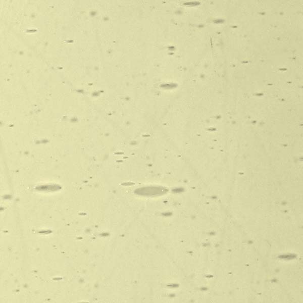 LAMBERTS 200xx LAMBERTS 200xx