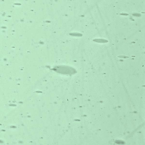 LAMBERTS 340xx LAMBERTS 340xx