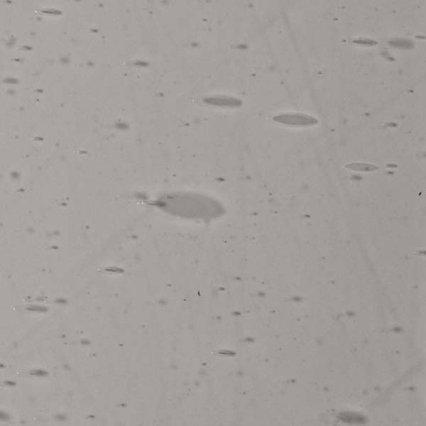 LAMBERTS 2807xx LAMBERTS 2807xx