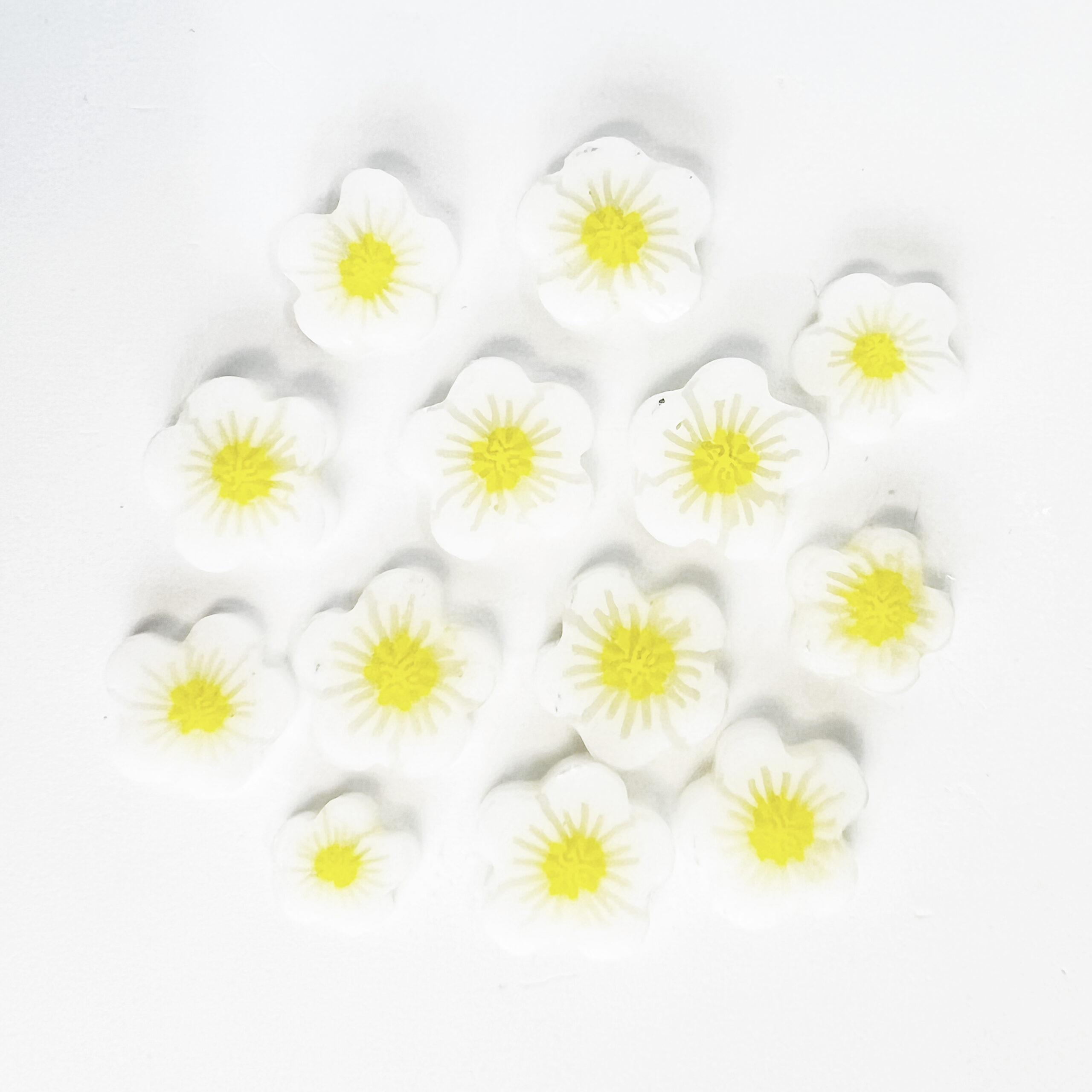 TGE Murrini AK90 Erdbeerblüte XL