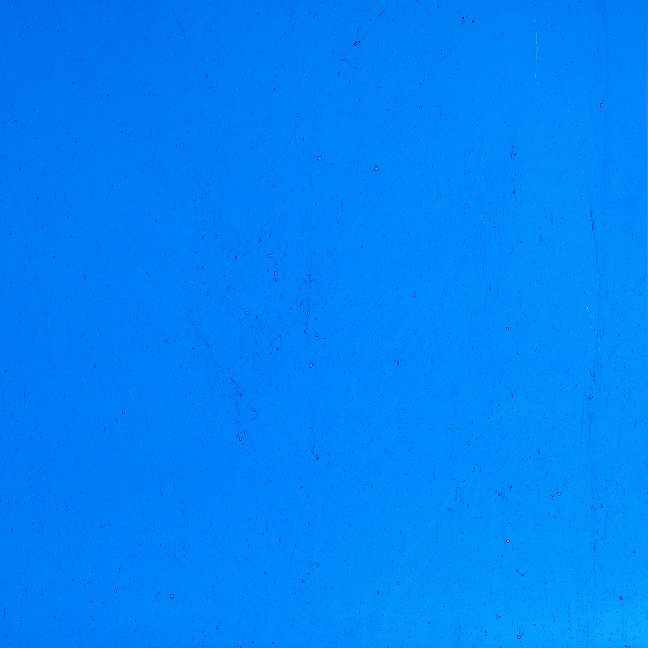 WISSMACH 243 Seedy 82x53cm
