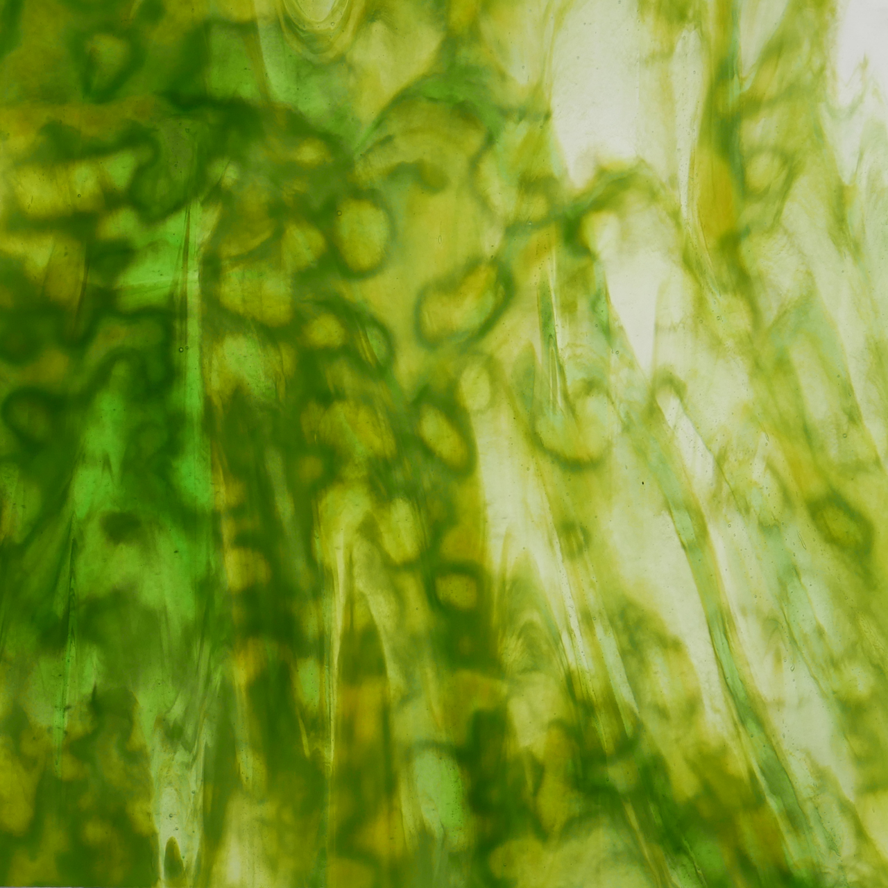 YOUGHIOGHENY 1431 SP YOUGHIOGHENY 1431 SP