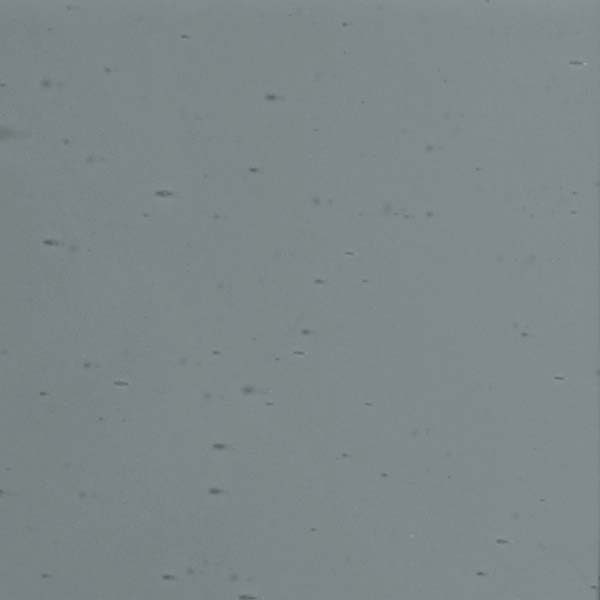 LAMBERTS 4205 U LAMBERTS 4205 U