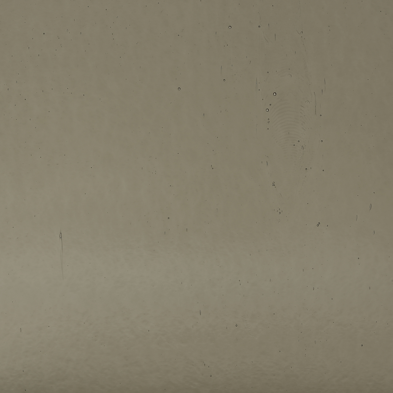 BULLSEYE 1449-30F BULLSEYE 1449-30F