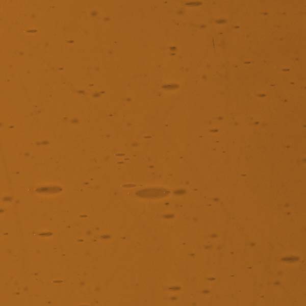 LAMBERTS 5053xh LAMBERTS 5053xh