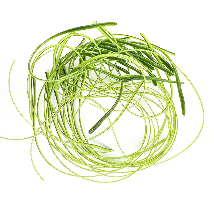 TGE Stringers COE90 - Vert TGE Stringers COE90 - Vert