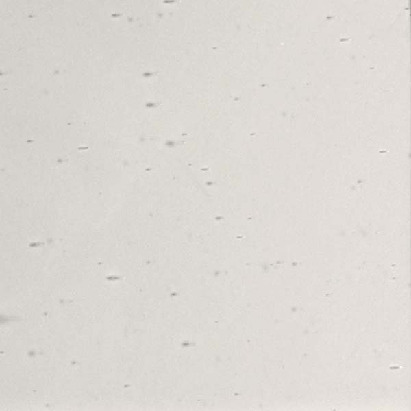 LAMBERTS 1064 U normal LAMBERTS 1064 U normal