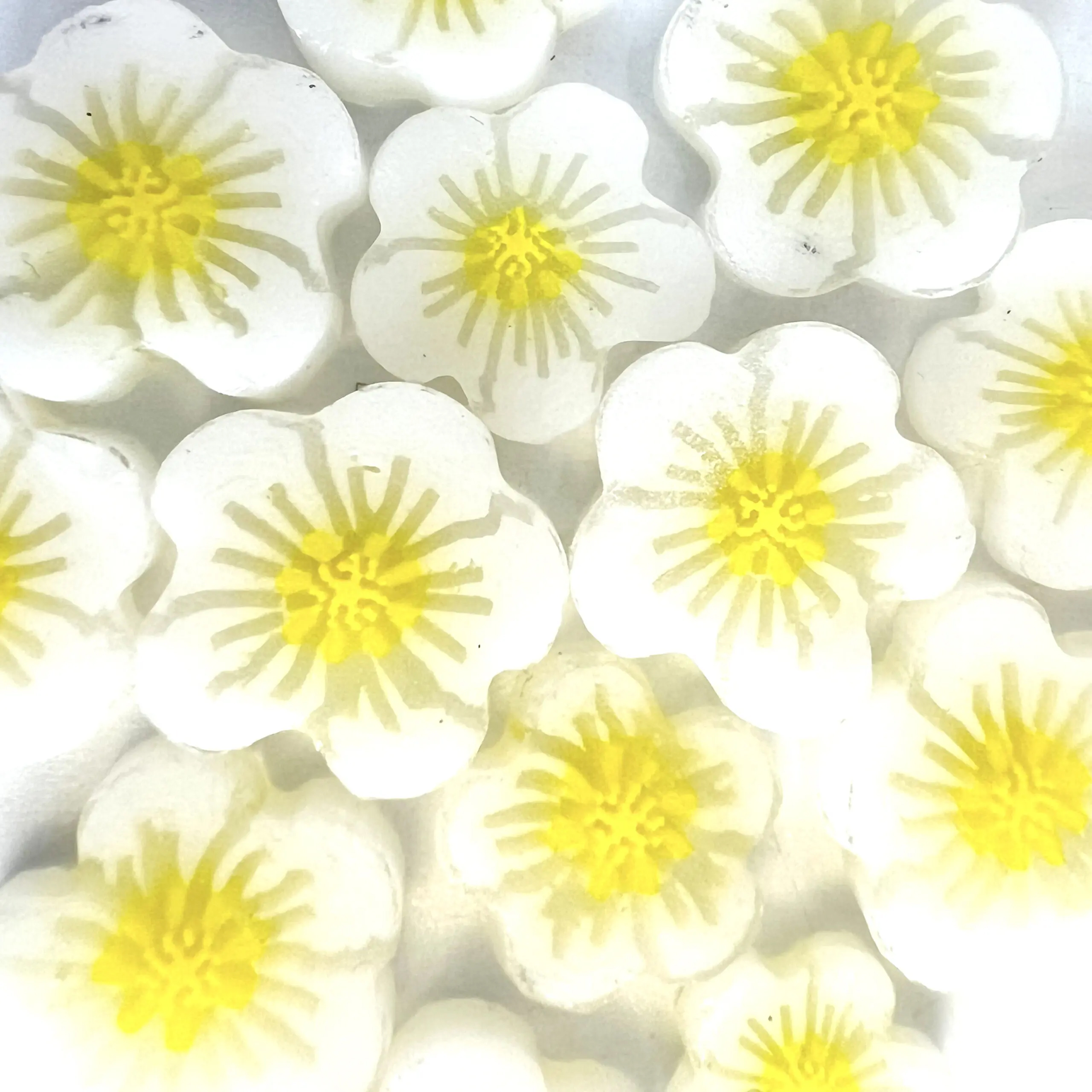 TGE Murrine COE90 Strawberry Flower XL TGE Murrine COE90 Strawberry Flower XL