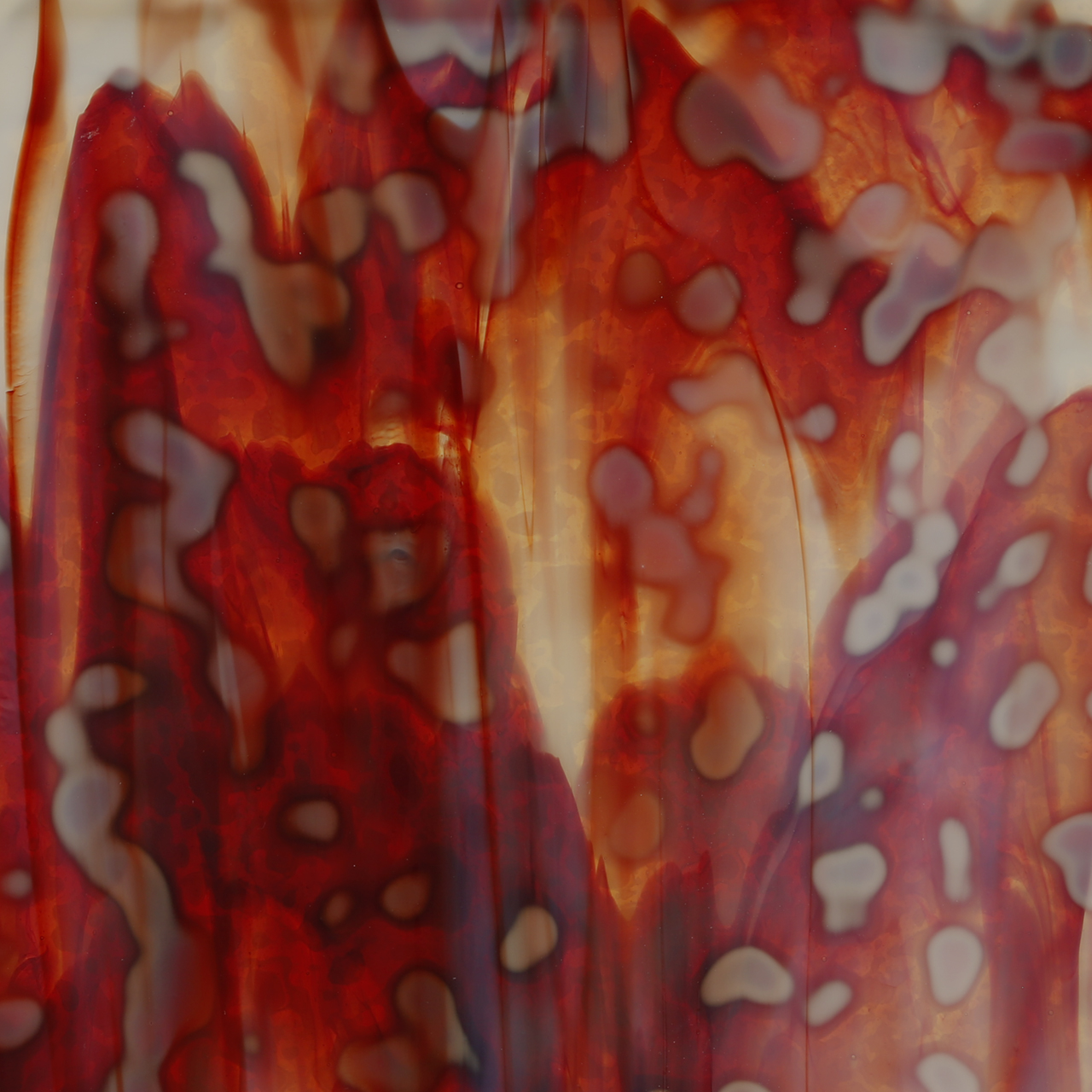 BULLSEYE 6231-00 BULLSEYE 6231-00