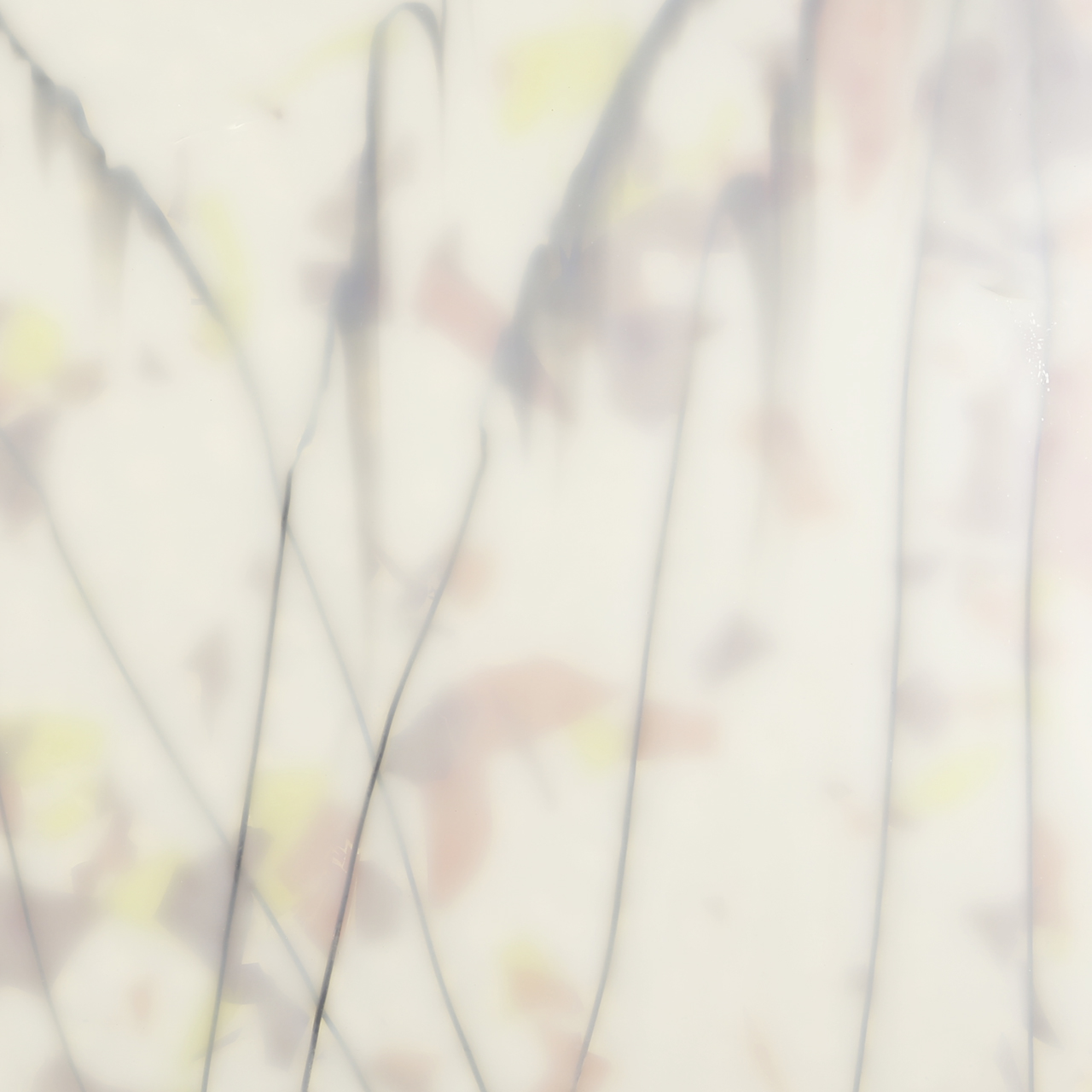 BULLSEYE 4011-00F BULLSEYE 4011-00F