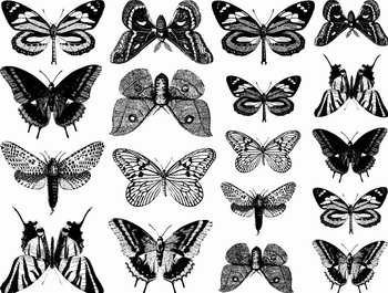 Fusing Decal Small Butterfly black Fusing Decal Small Butterfly black