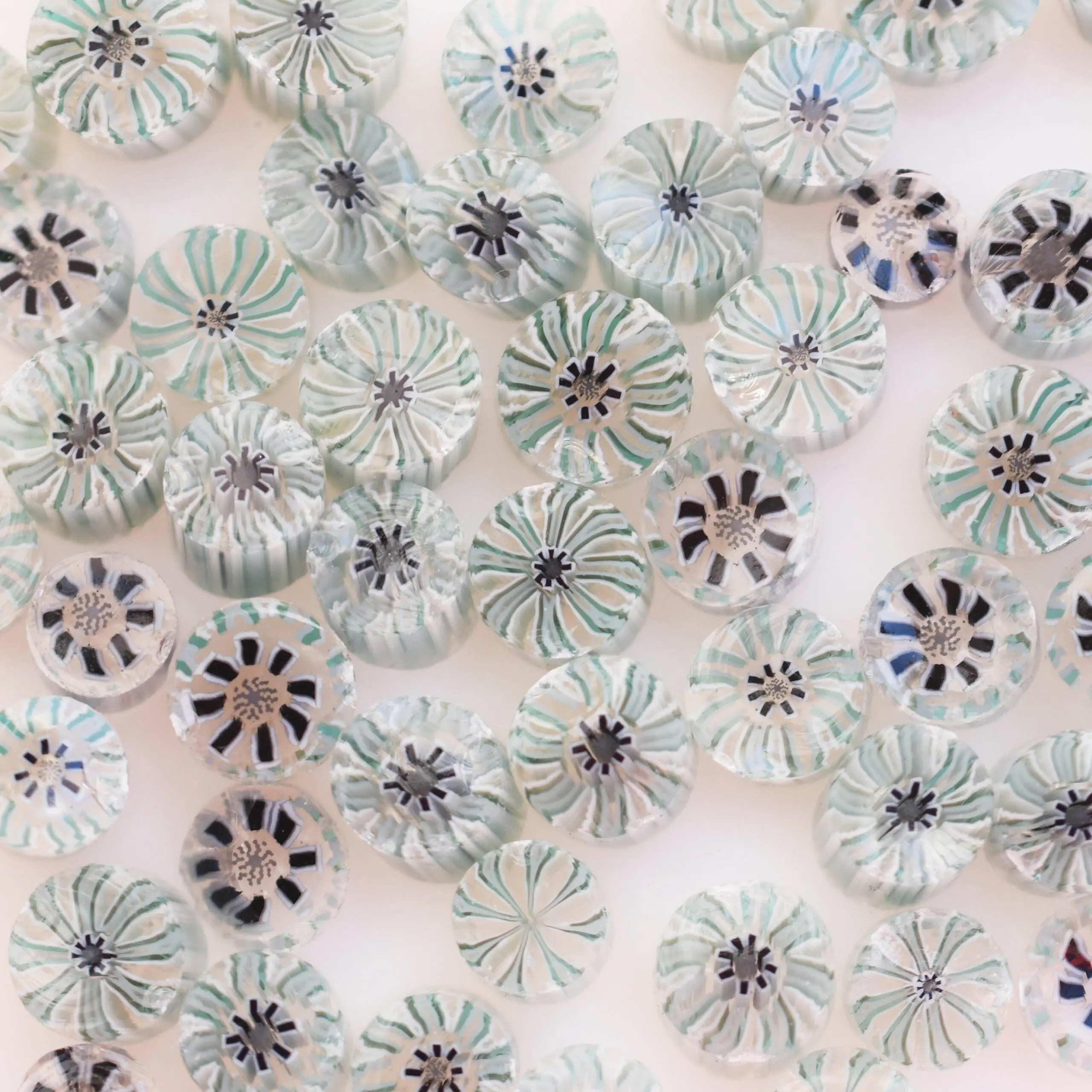 TGE Murrini AK90 flores de invierno TGE Murrini AK90 flores de invierno